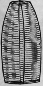 Fig. 254.   Wire Bottle Screen
