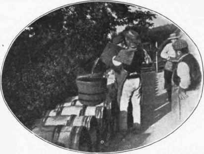 Fig. 32.   Pouring the wine into casks. (Courtesy of Barton and Guestier.)