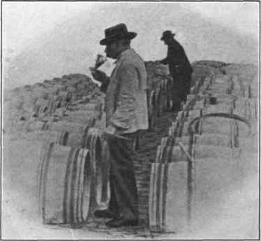 Fig. 33.   Head cellar man tasting a vintage wine. (Courtesy of Barton and Guestier.)
