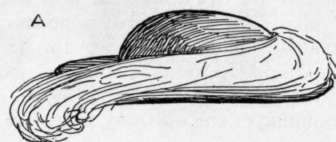 Choosing Hat s Trimming 185