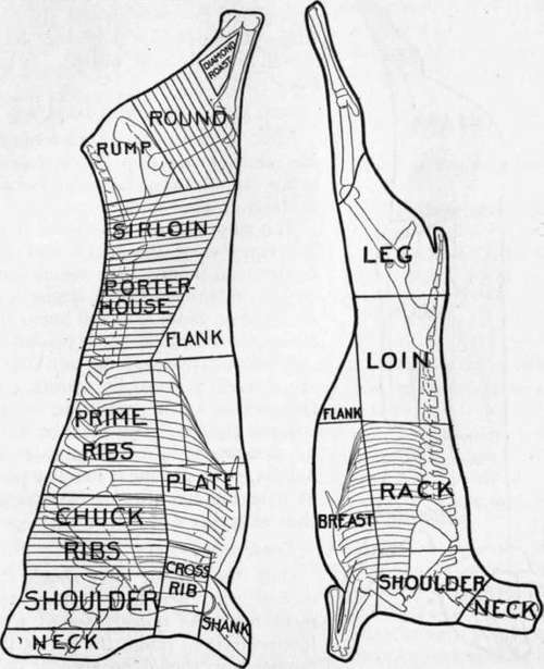 Fig. 118