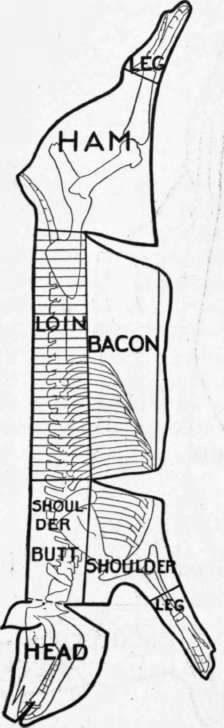 Fig. 120
