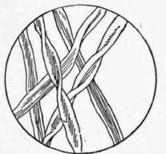 Fig. 57