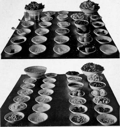 Plate XVI