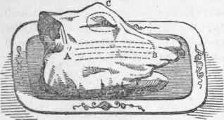 Calf s Head.