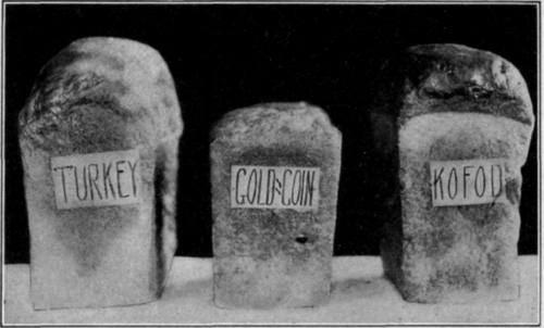 Courtesy of Utah Agricultural College.