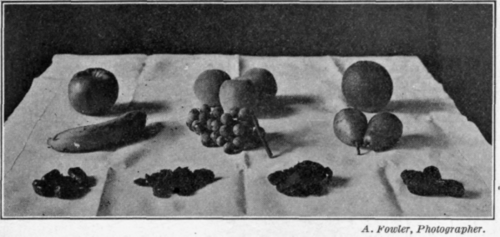 Fig. 27.   100 Calorie portions of fresh and dried fruit.