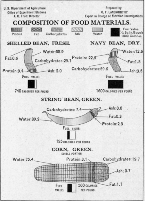 Fig. 35.   Composition of vegetables.