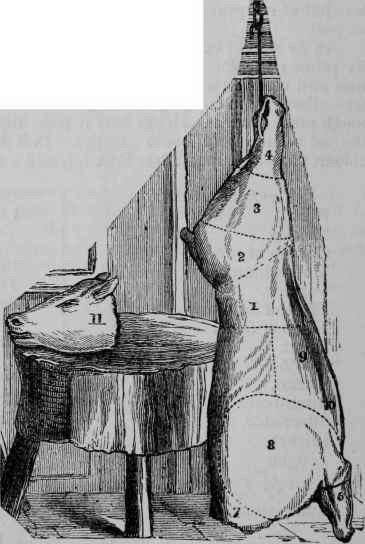 A calf is cut into the following joints.