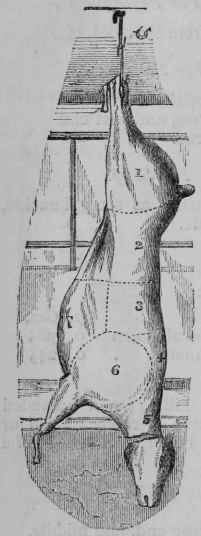 A sheep is thus divided: 1. Leg. 2. Chump end of Loin. 3. Best end of Loin.