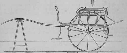 The Dog cart.