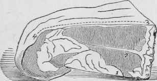 Carving