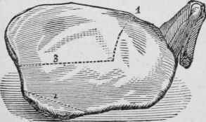 Shoulder Of Mutton 115