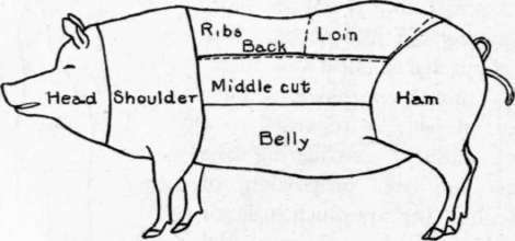 Cuts Of Pork, U. S. Department Of Agriculture