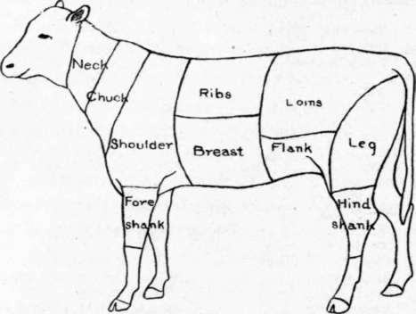 Cuts Of Veal According To The U. S. Department Of Agriculture