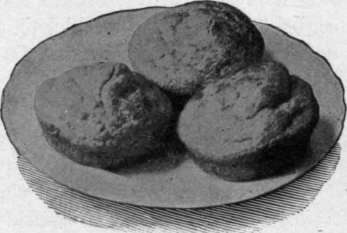 Rye Muffins