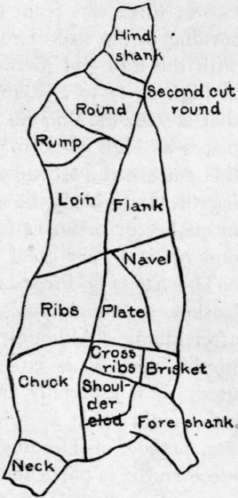 Side Of Beef, U. S. Dept Agriculture