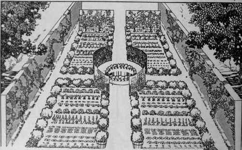 A digram showing how a garden such as that described in this article may be laid out