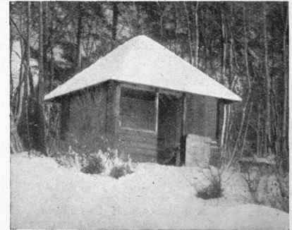 Photos, The garden bedroom in winter Will Cadby