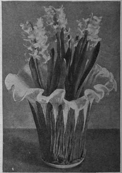 A pretty arrangement in two shades of crinkled paper that will make a charming mask for a flower pot. One colour should be that of the flowers chosen, the other that of the leaves