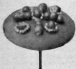 Curious yellow beads arranged in the shape of a cross form the centre; in each space is sewn a single yellow bead, encircled with small steel beads left; this forms a cross