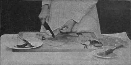 Fig. 2. (A) The upper part of fish with the fillets removed, exposing the bones. (B) Skinning a