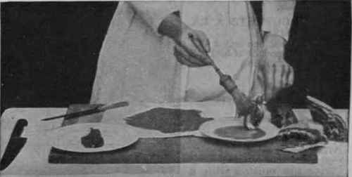 Fig. 2. Hold a cutlet by the end of the bone and brush it all over with the beaten egg the fingers