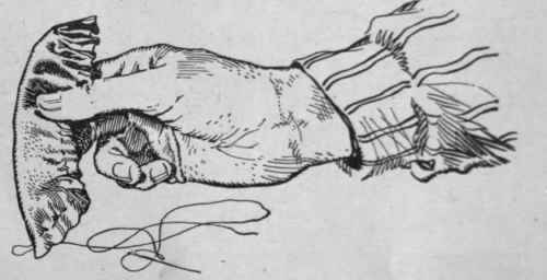 Fig. 4. How the petals of the rose in Fig. 3 are made. The petals are mount, beginning at the outer edge