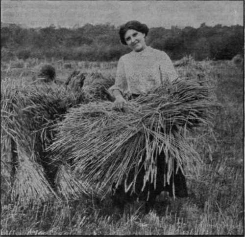 A Canadian girl harvester of the Eastern Townships. The wheatlands of Canada are world famous