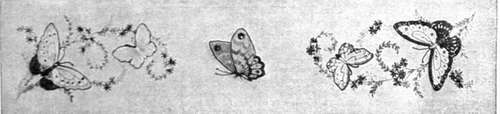 A charming butterfly design that may be worked on linen to form a toilet cloth or table centre where the usual table cloth is discarded