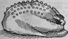 Fig. 4. A guinea fowl with the breast larded paper, place the paper and me a t across the first finger of the left hand, and markthree rows on the meat with the