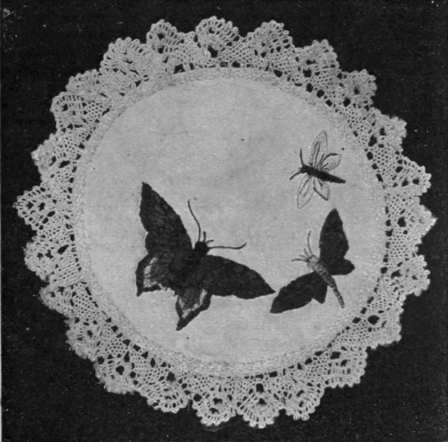 Fig. 4. The swallow tail butterfly depicted above is worked in shades of yellow and gold with touches of blue and red. The other butterflies are carried out respectively in tortoiseshell and blue