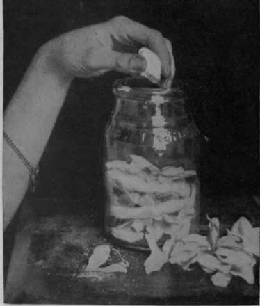 Fill a clean wide mouthed glass jar with alternate layers of petals and wadding soaked in oil