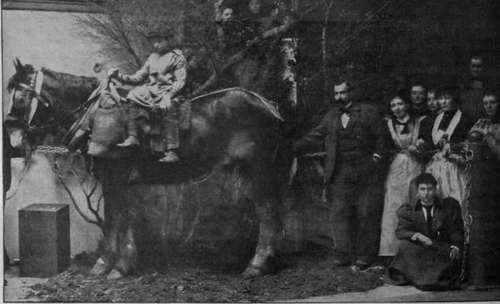 Mr. Frank Calderon and his students in the large ground'floor studio, posing an animal model