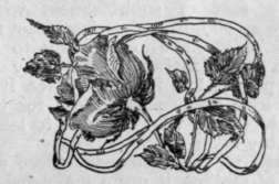 Some Disadvantages 400613