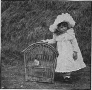 The first exhibitor with a pet dove the nursery and schoolroom pets than any amount of reiterated exhortations from mother, governess, or nurse to clean out the canary's cage  or feed the guinea pig.
