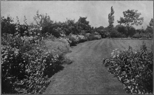 A beautiful example of an herbaceous border arranged with a succession of flowers, and at its full beauty during July, August, and September