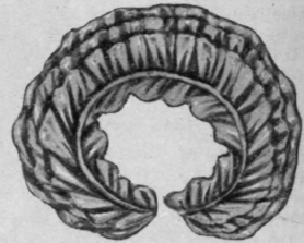 Fig. 4. The ruche is now ready to be drawn up and placed round the hat each of six lengths of ribbon