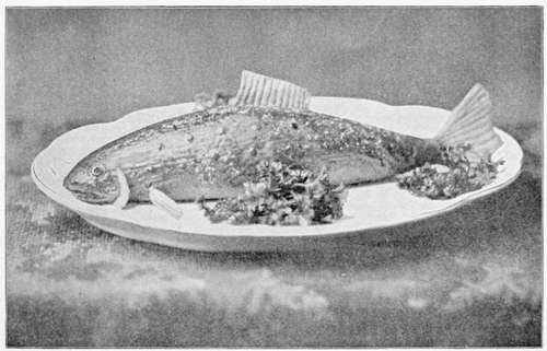 Baked Trout.