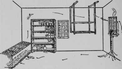 Fig. 24 - A well-arranged storage cellar.