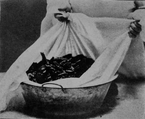 Fig. 9 - The first step in preparing the product is to put it, after cleaning and cutting, in cheesecloth (or a wire basket) for blanching