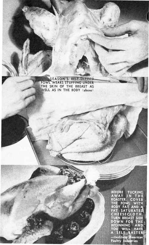 How To Dress Birds For Broiling Frying Etc 63