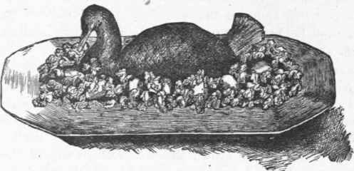 Fig. 26. Mutton Duck.
