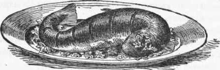 Fig. 7. Baked Fish.