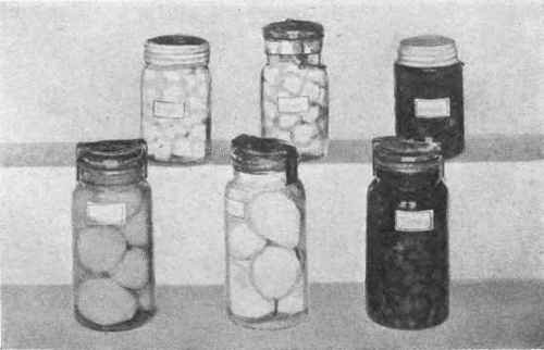 Canned Fruits.