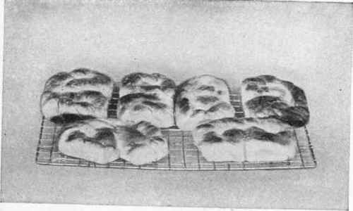 Coffee Cakes (Brioche).