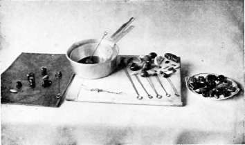 Chapter IX Glaces And Pulled Flowers TheCandyCookbook 11