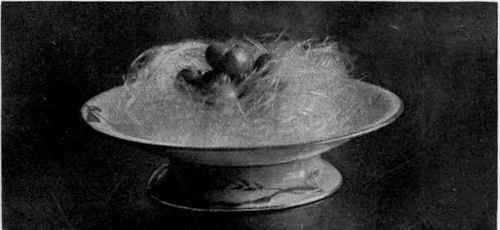 Glace Grapes In Nest Of Spun Sugar.
