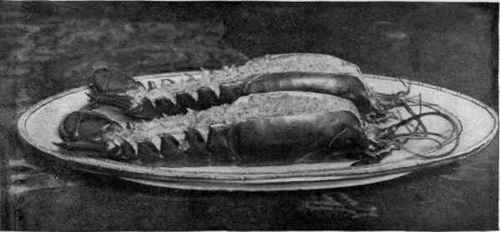 Lobster Farci.