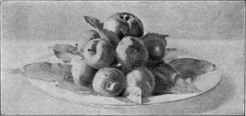 Plums.